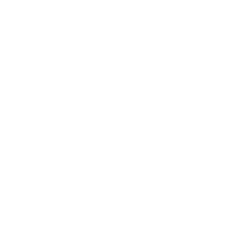 Ai Icon